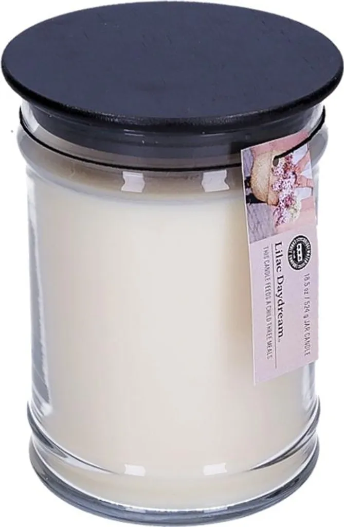 Grande Bougie Lilas 524g Longue Durée Lilac Daydream Bridgewater Glass