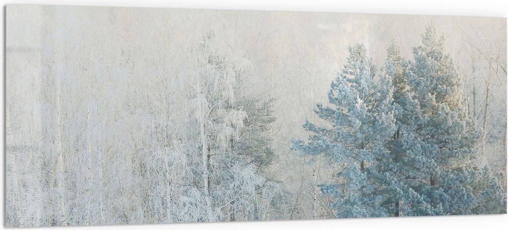 DEQORI Küchenrückwand Glas 125x50 cm 'Frostige Stille' Spritzschutz Bad Rückwand Küche