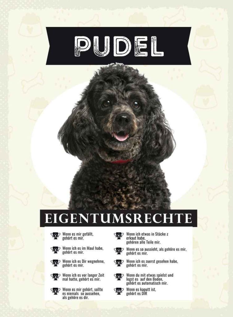 vianmo Holzschild 40x30 cm Pudel Eigentumsrechte Tier Produktbild 