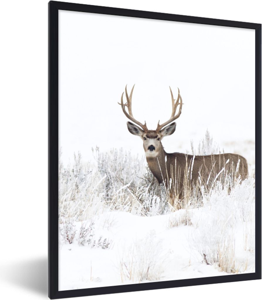 MuchoWow Gerahmtes Poster Hirsche - Winter - Schnee - Tiere - Jahreszeiten - Weiß 30x40 cm - Poster mit Schwarzem Bilderrahmen Wandposter Rahmen...