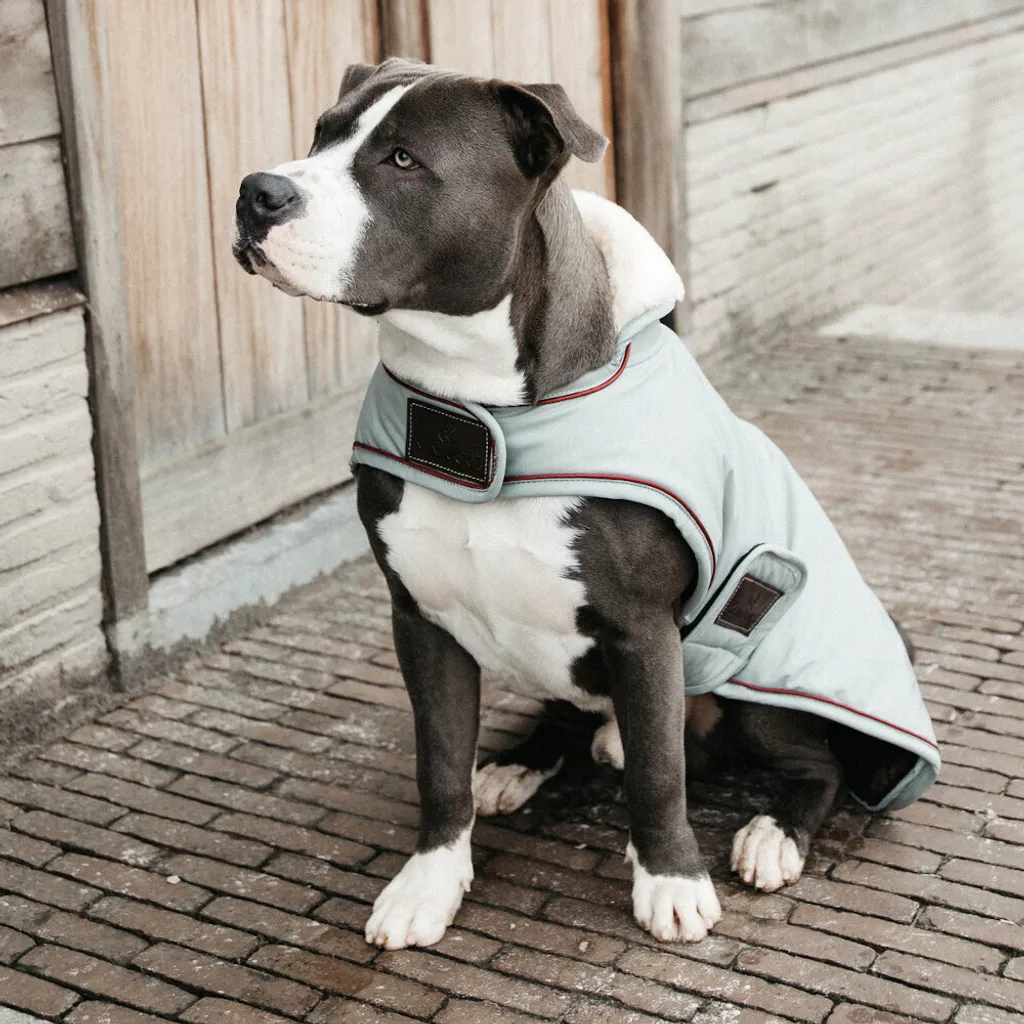 Giacca Impermeabile Cane Kentucky Dogwear Dusty Blue Taglia L
