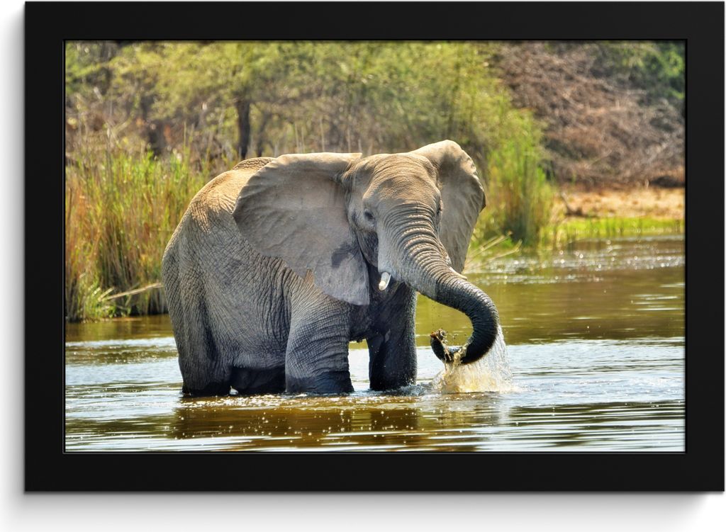 MuchoWow MuchoWow Gerahmtes Poster Elefant - Wasser - Tiere - Natur 30x20 cm - Poster mit zchwarzem Bilderrahmen - Kunstdruck - Bild-Poster