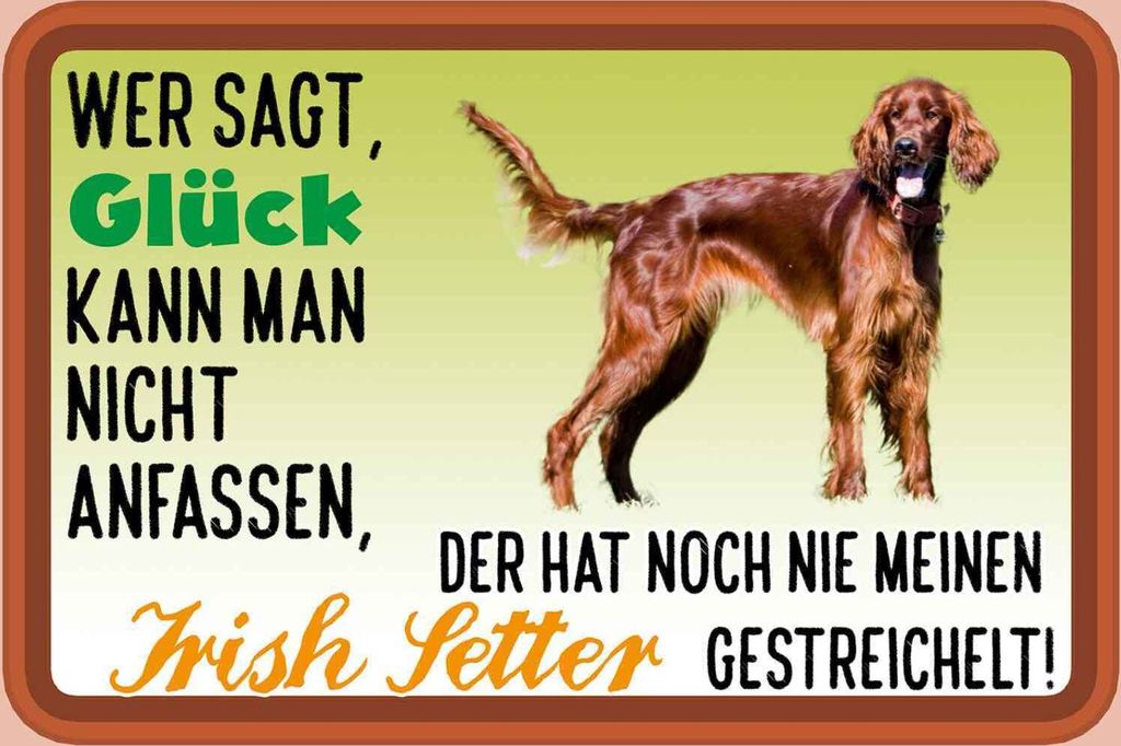 vianmo Holzschild 20x30 cm Glück Irish Setter Hund Tier Haustier