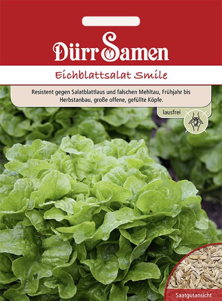 Dürr-Samen - Eichblattsalat Smile - Saatgut - 1117 Produktbild 
