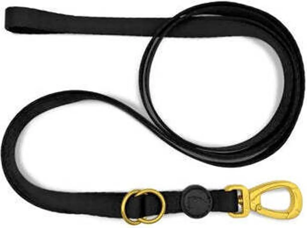Guinzaglio Morso Gold Caviar Regolabile - Lusso in Oro Riciclato per Cani