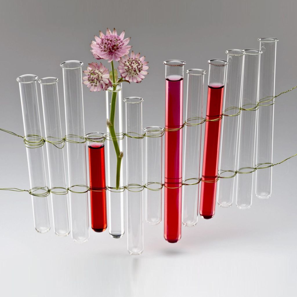 Reagenzglas 9,7 x 1,6cm |  Blumenvase Glasröhrchen Dekoglas Produktbild 
