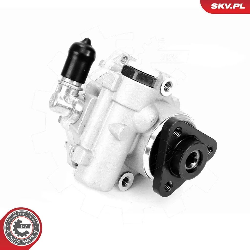 Pompe de direction assistée ESEN SKV 10SKV330 pour Audi A6 Avant C6