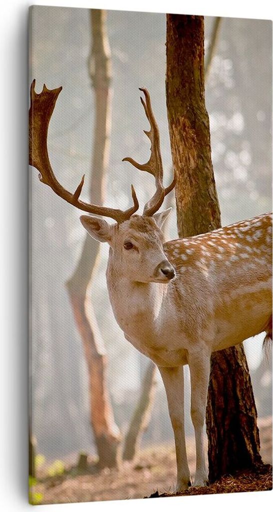 Bild auf Leinwand - Leinwandbild - Kitz Hirsch Tier wild - 55x100cm - Wand Bild - Wanddeko - Leinwanddruck - Bilder - Kunstdruck - Wanddekoration -...