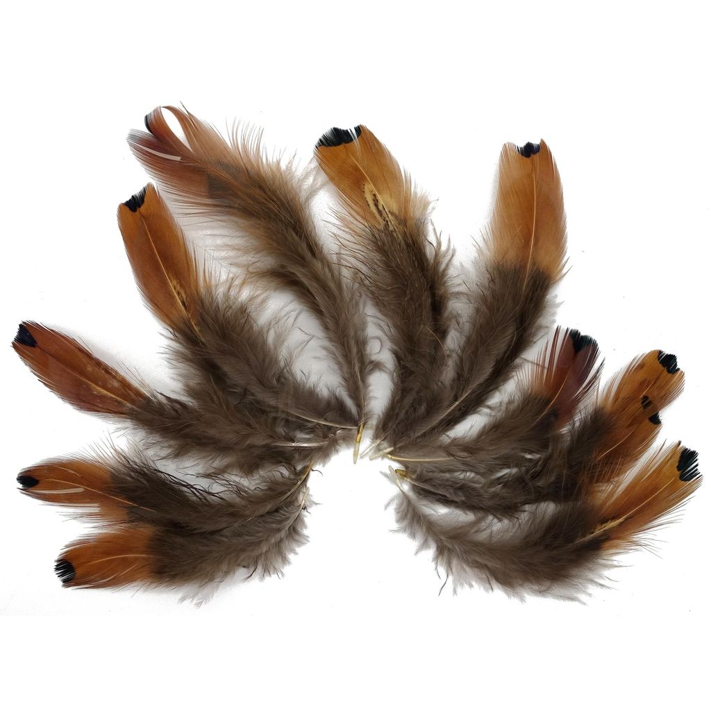 Federn zum Basteln und Schmücken (5-10cm / 10-12 Stück) / Braun mit schwarzen Spitzen