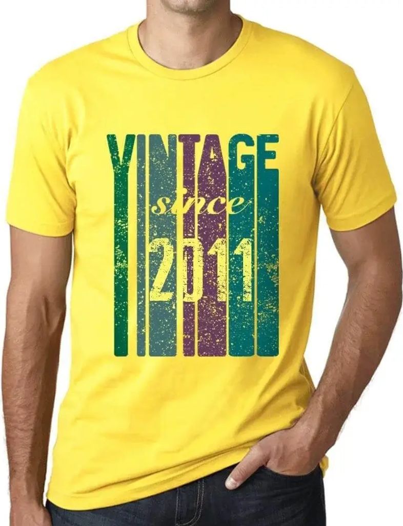 Herren Grafik T-Shirt Jahrgang seit 2011 – Vintage Since 2011 – Geschenk 13. Geburtstag Jahrestag 13 Jahre Jubiläum 13 Jährige Mann Jahrgang ...