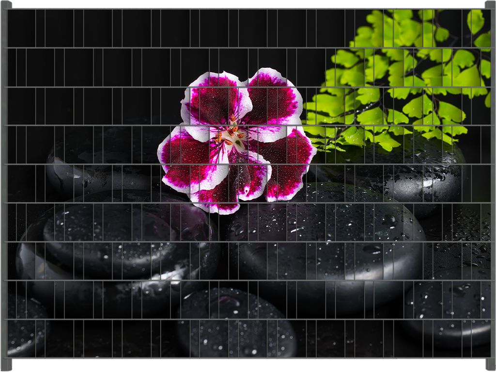 Wallario Zaunsichtschutz mit Motiv Geranienblüte auf Produktbild 