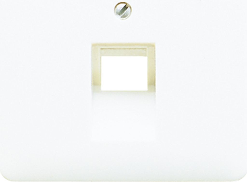 Jung Abdeckung ws 569-1 UA 569-1UA
