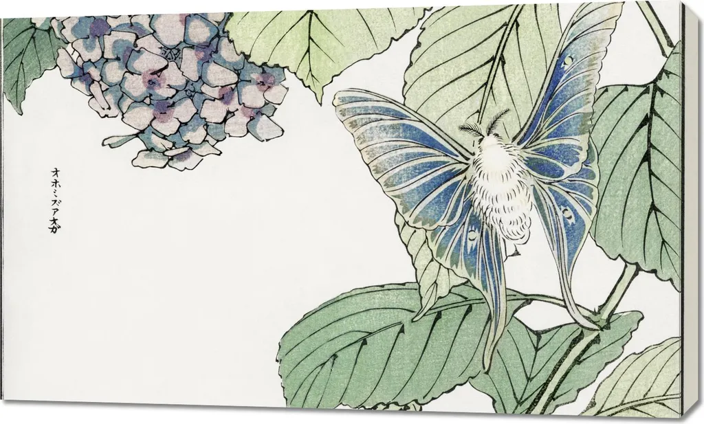 Tableau japonais pour salon zen 100x60 cm Motif Papillon de nuit Vintage