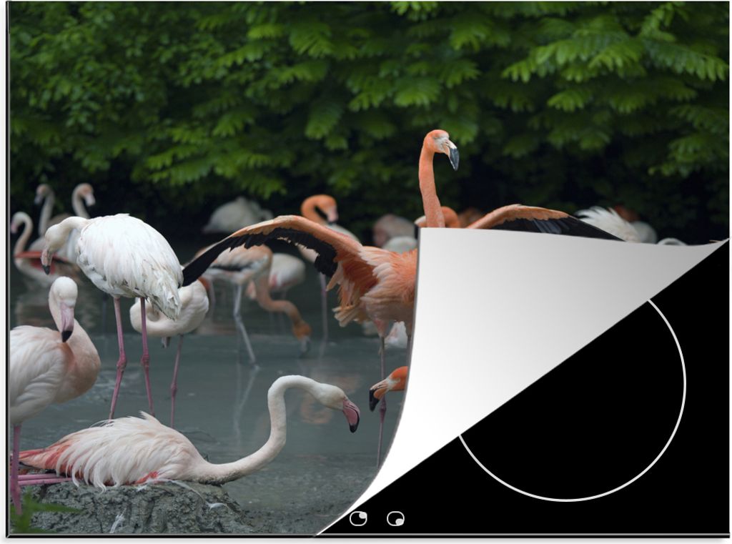 KitchenYeah Herdabdeckplatte Bayerische Flamingo-Vögel im Teich , 59x51cm, Küche Deko, Glaskeramikfeld Herdabdeckung, Abdeckplatte fùr Kochfeld