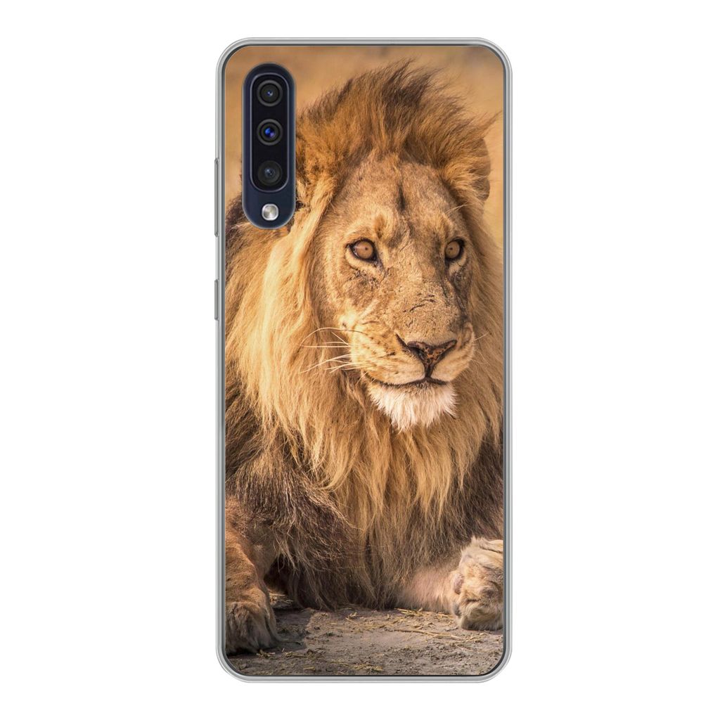 MuchoWow Handyhülle Schutzhülle Hülle für Samsung Galaxy A30s Löwe - Nahaufnahme - Savanne Silikon Softcase Handy Hülle - Karteninhaber