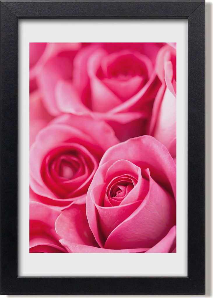 Bild 20x30 MDF-Rahmen, Wandkunst Rosa Rosen