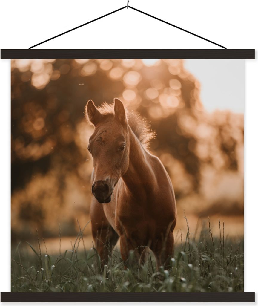 MuchoWow Textilposter Pferd - Licht - Landschaft 90x90 cm mit schwarzem Rahmen - Magnetisches