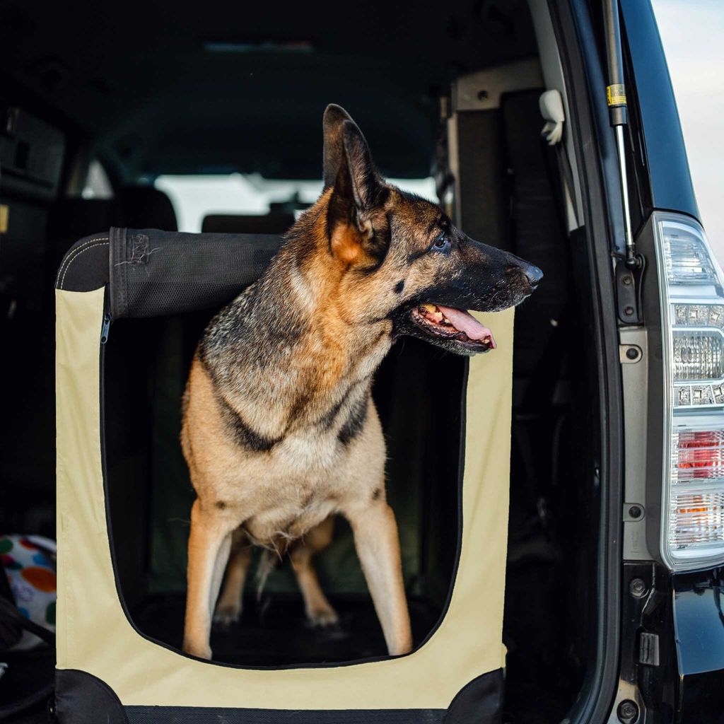 Fudajo Faltbare Transportbox für Hunde, Katzen XXL (90x60x64cm), robust