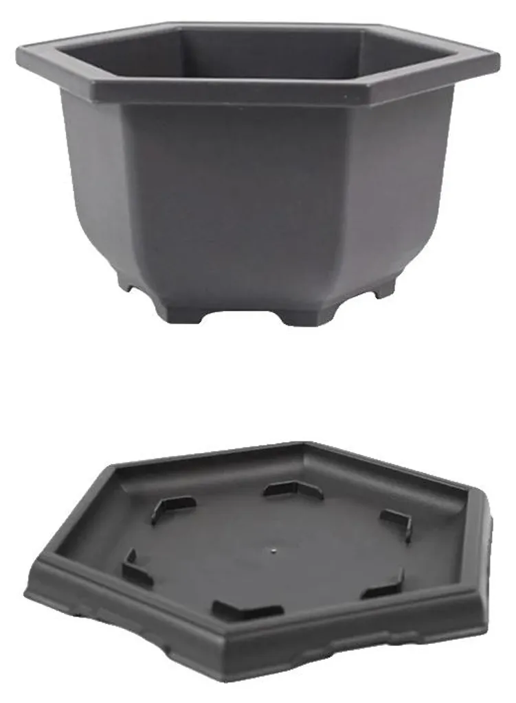 Contenant Bonsaï Hexagonal M Idéal pour Rempotage avec Drainage Amélioré