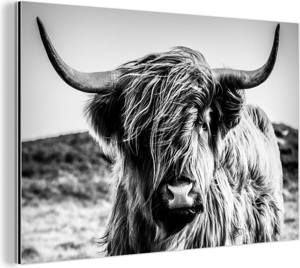 MuchoWow Wanddekoration Metall Metallbild Wandkunst 60x40 cm Schottisches Hochlandrind - Natur - Kuh - Schwarz - Weiß MuchoWow Aluminium Gemälde ...