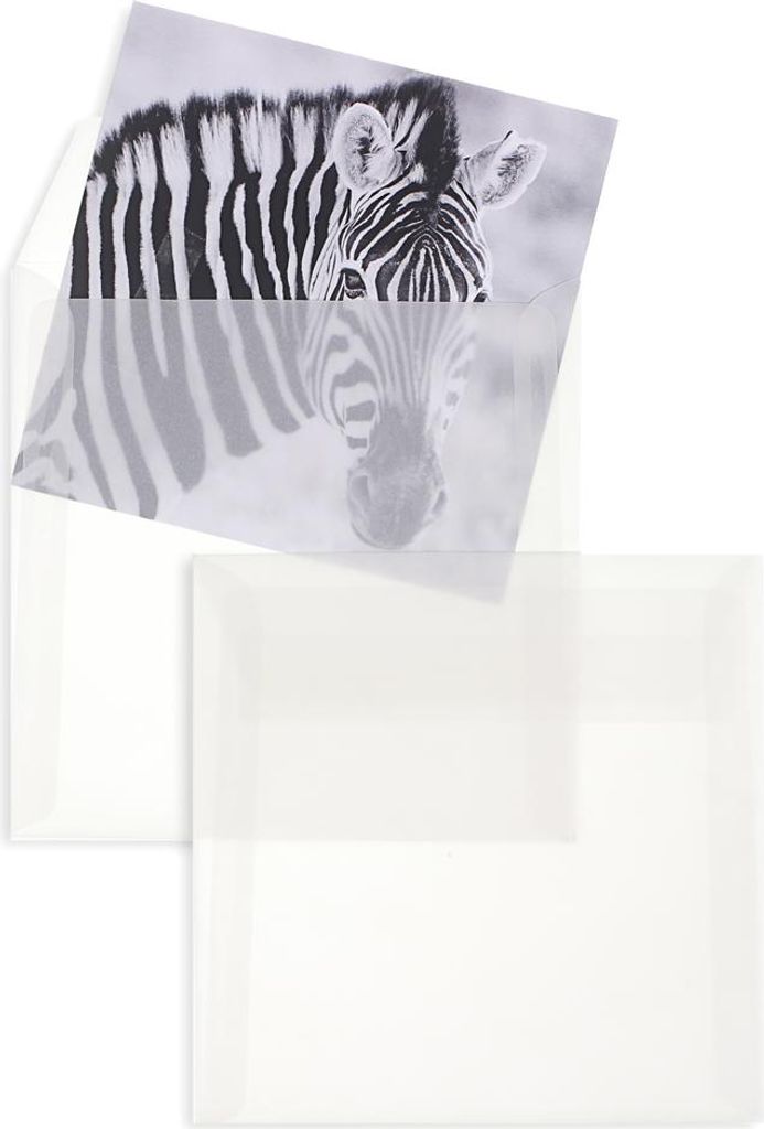 Transparente Briefumschläge - Weiß (Transparent-Weiß)170 x 170 mm | 100 g/qm Offset | Ohne Fenster | Haftklebung | Gerade Klappe | 100 Stück