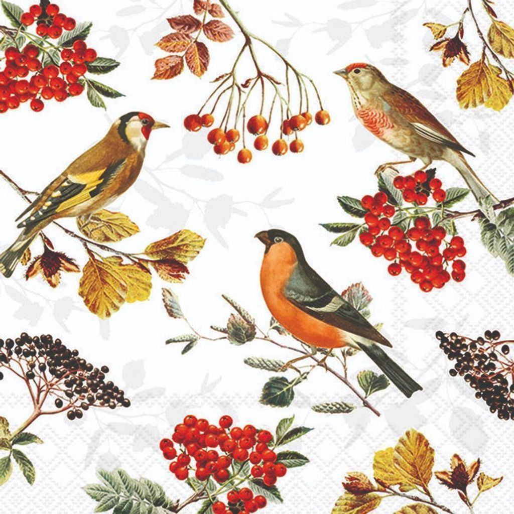 Servietten 33x33 cm - Autumn birds