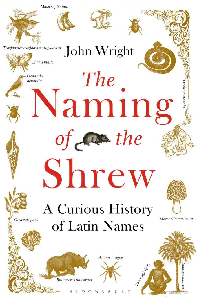 The Naming of the Shrew