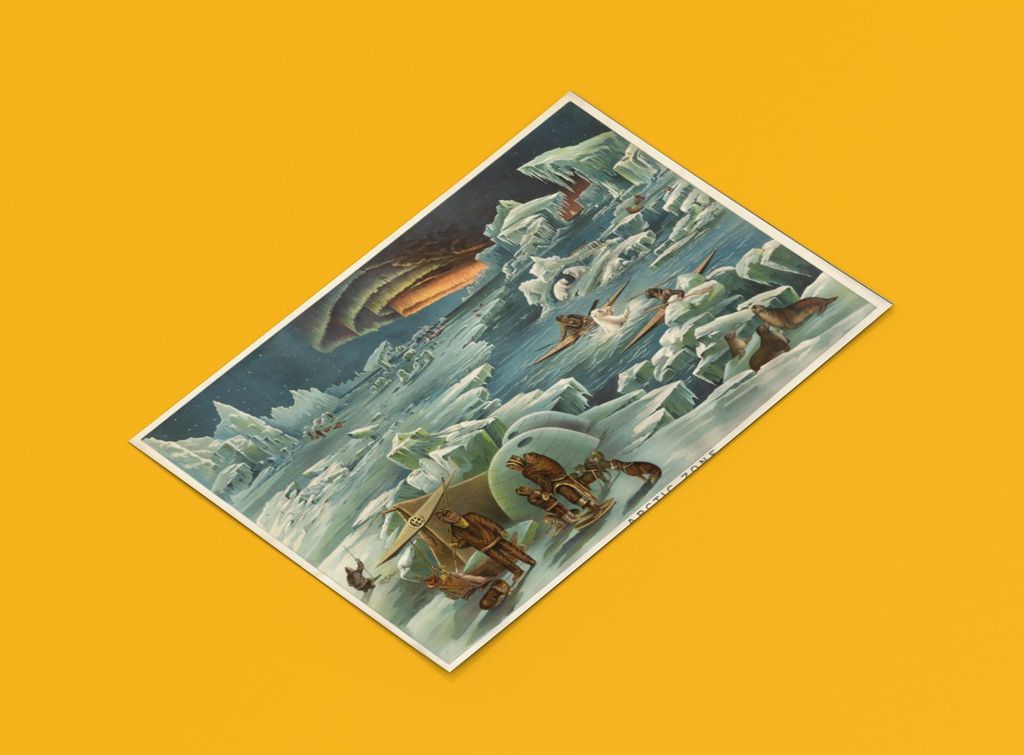 Arktis Illustration Poster | Größe in cm: 70 x 50