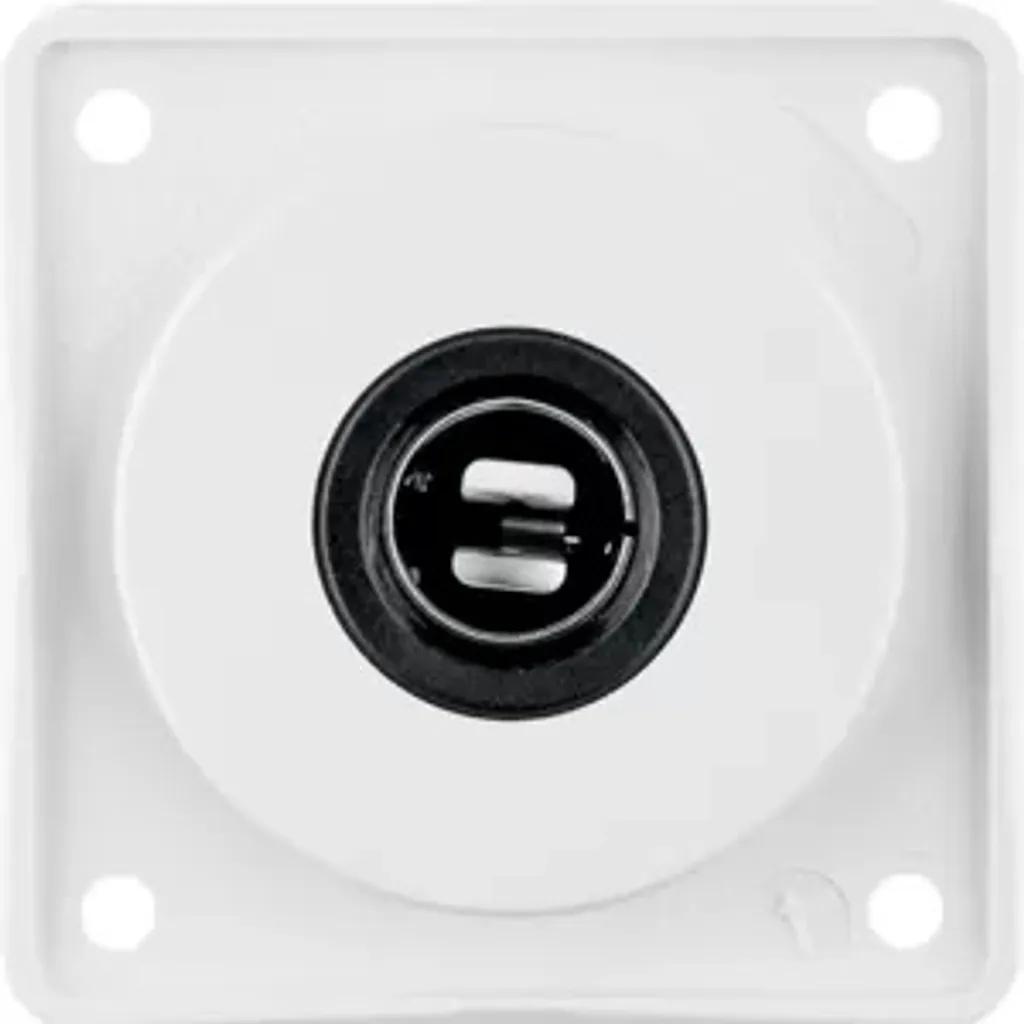 Prise 12V Berker Integro 945172509 : Alimentation fiable pour espaces fins