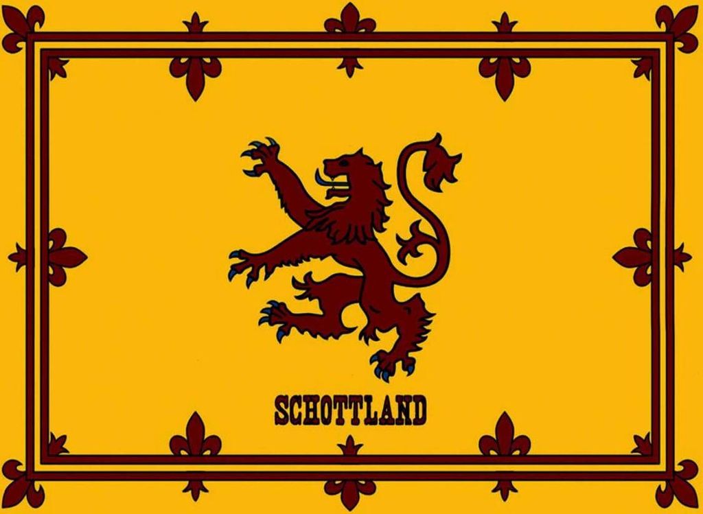 vianmo Holzschild 30x40 cm Flagge Schottland Königswappen