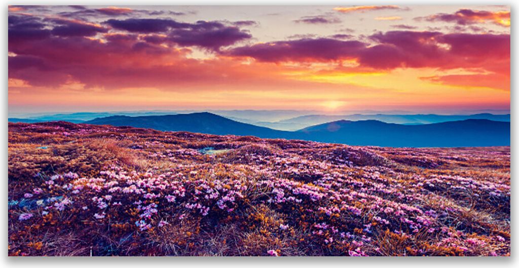 Küchenrückwand aus Glas 120x60cm Spritzschutz Wiese Gebirge Blumen Natur