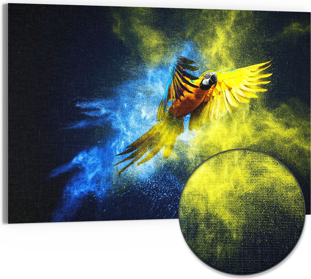 DEQORI Hybrid Leinwand Bild 90x60 cm 'Papagei in Farbwolke' Wandbild Glas flach modern