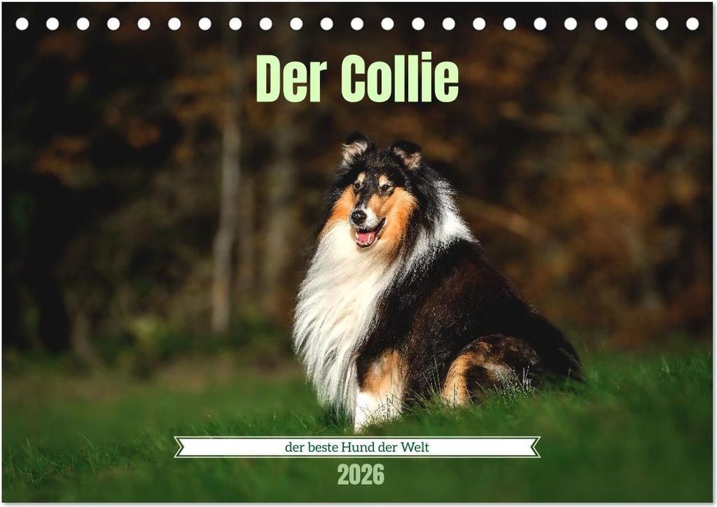 Der Collie der beste Hund der Welt (Tischkalender 2026 DIN A5 quer), CALVENDO Monatskalender