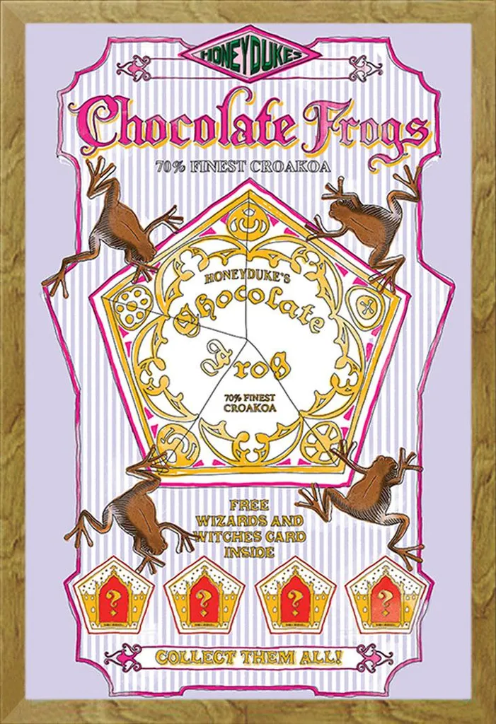 Cornice Shinsuke Rovere con Poster Harry Potter Rane Cioccolato 61x91