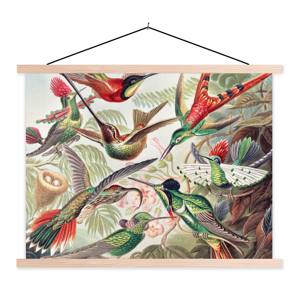 MuchoWow Textilposter Kolibri - Vintage - Ernst Haeckel - Vogel - Kunst - Natur 120x90 cm mit holzfarbenen Rahmen - Magnetisch