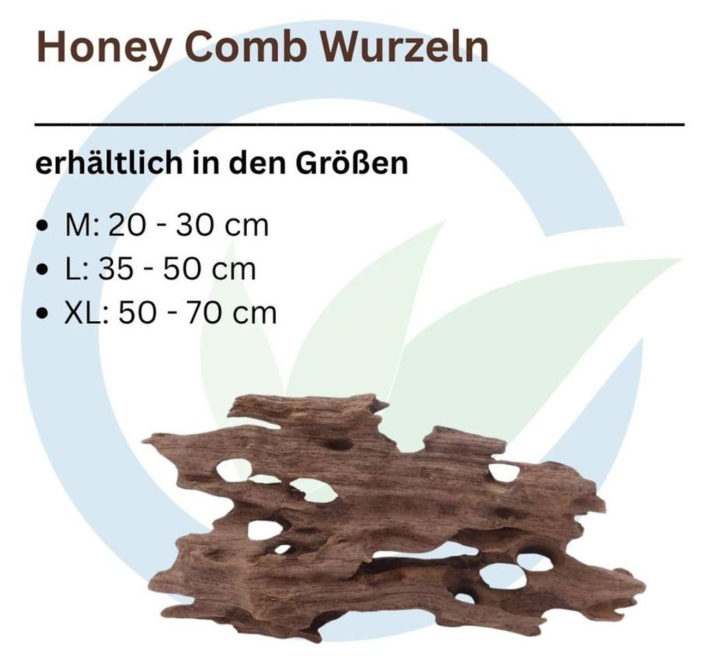 Honey Comb Wurzel M 20-30 cm