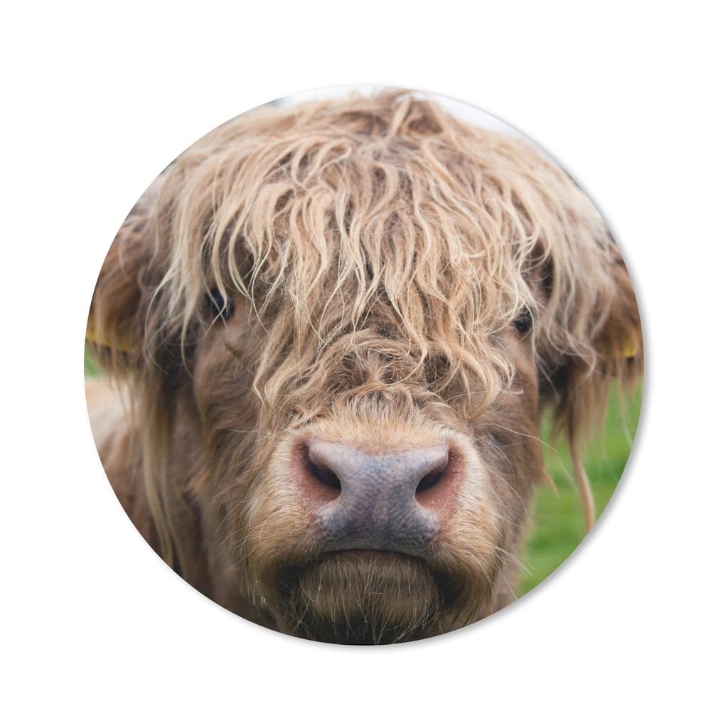 MuchoWow Mauspad Mousepad Schottische Highlander - Gras - Wald 20x20 cm - Mousepads - Maus Mat - Pad - Mausunterlage - Schreibtischmatte