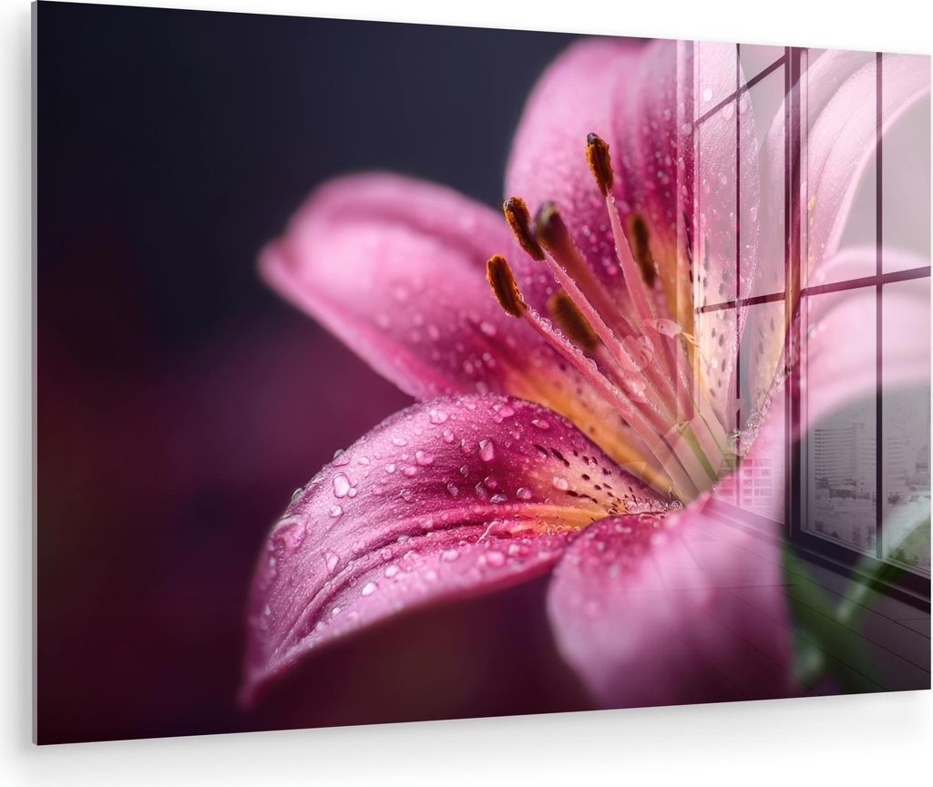 MuchoWow Glasbilder - Bilder auf Wandbild - Foto auf Glas Rosa - Lilie - Tautropfen 90x60 cm Wanddekoration aus Glas - Acrylglasbild - Acrylbilder ...