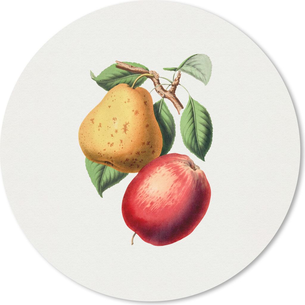 MuchoWow Mauspad Mousepad Früchte - Frühling - Blätter 30x30 cm - Mousepads - Maus Mat - Pad - Mausunterlage - Tischunterlage - Schreibtischma...