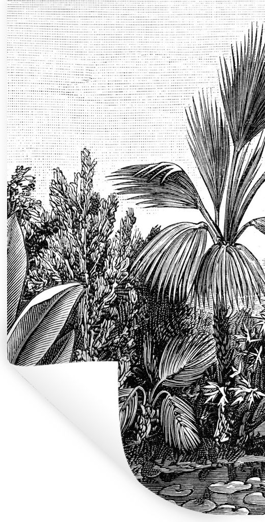 MuchoWow Wandtattoo Wandsticker Wandaufkleber Pflanzen - Natur - Gestaltung - Illustration - Ernst Haeckel 80x160 cm Selbstklebend und Reposition...