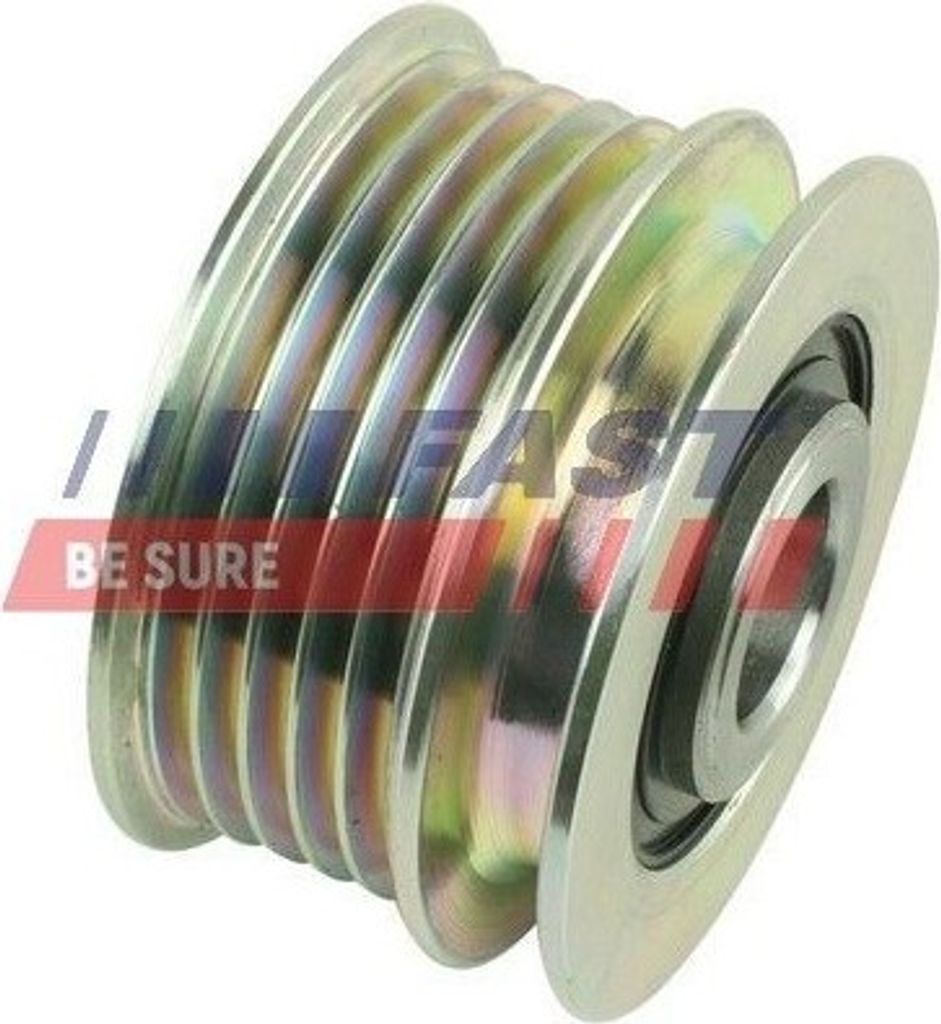 FAST FT45621 - OE 8200113636 Riemenscheibe, Generator für Micra III (K12), Clio II, Grand Scenic II (JM), Megane II, Megane III, Scenic II