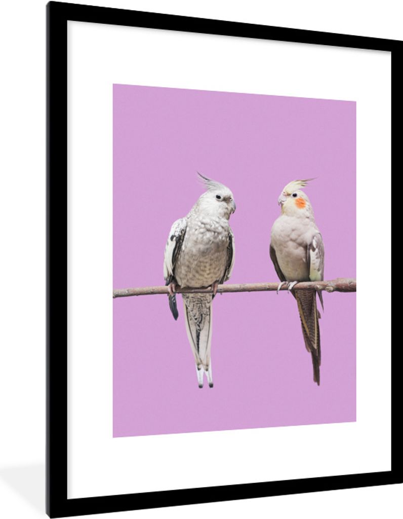 MuchoWow MuchoWow Gerahmtes Poster Sittich - Zweig - Rosa 60x80 cm - Poster mit zchwarzem Bilderrahmen - Wohnzimmer - Dekorationen - Prämie