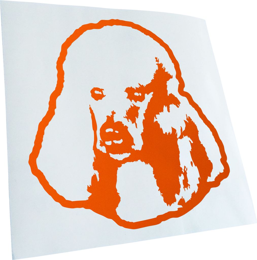 Kiwistar - Autoaufkleber - Poodle Hund - Orange - 50x45cm - Aufkleber für Auto, Laptop, Fahrrad, LKW, Motorrad Mehrfarbig JDM Decal Racing
