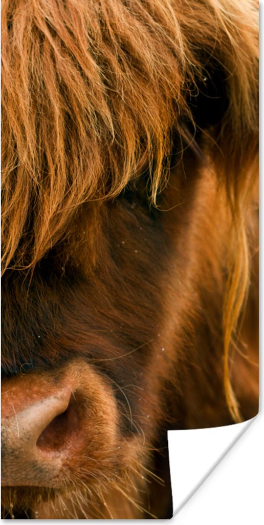 MuchoWow Poster Schottischer Highlander - Natur - Porträt 80x160 cm - Kinderzimmer