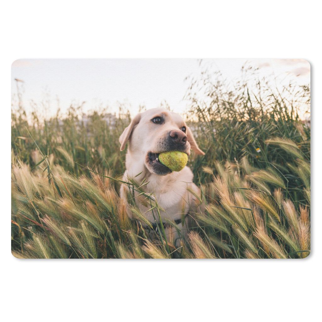 MuchoWow Mauspad Mousepad Labrador Retriever spielt mit einem Tennisball im Gras 27x18 cm - Mousepads - Maus Mat - Pad - Mausunterlage - Büroart...