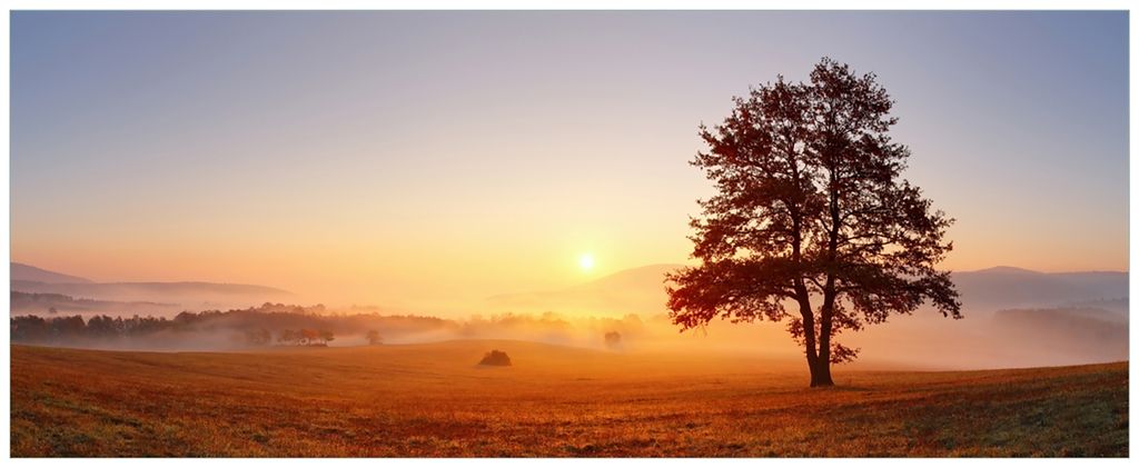 Wallario Wandbild aus Acryl, 200 x 80 cm, freischwebende Optik - Sonnenaufgang über der Wiese mit Nebel
