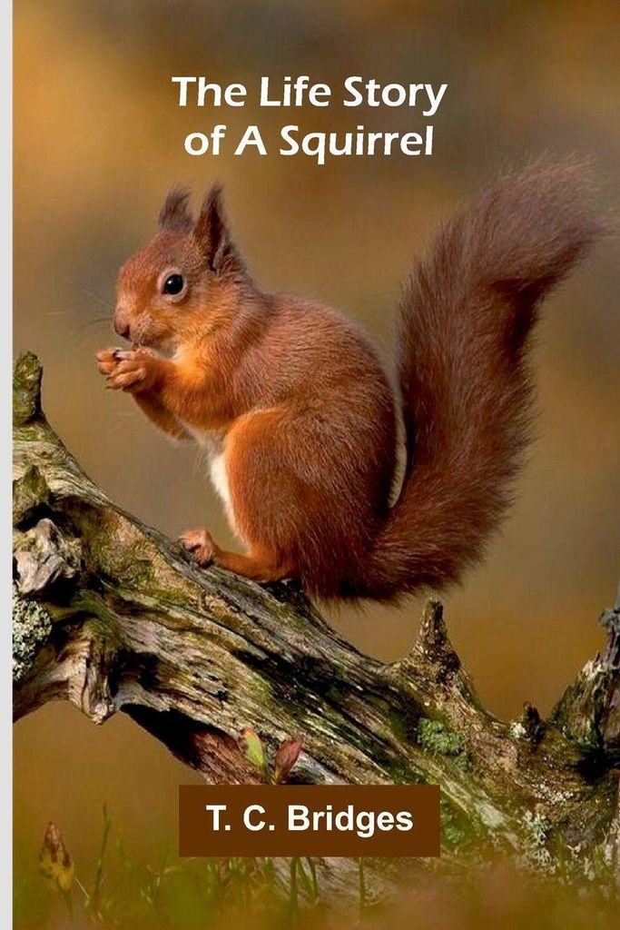 The life story of a squirrel