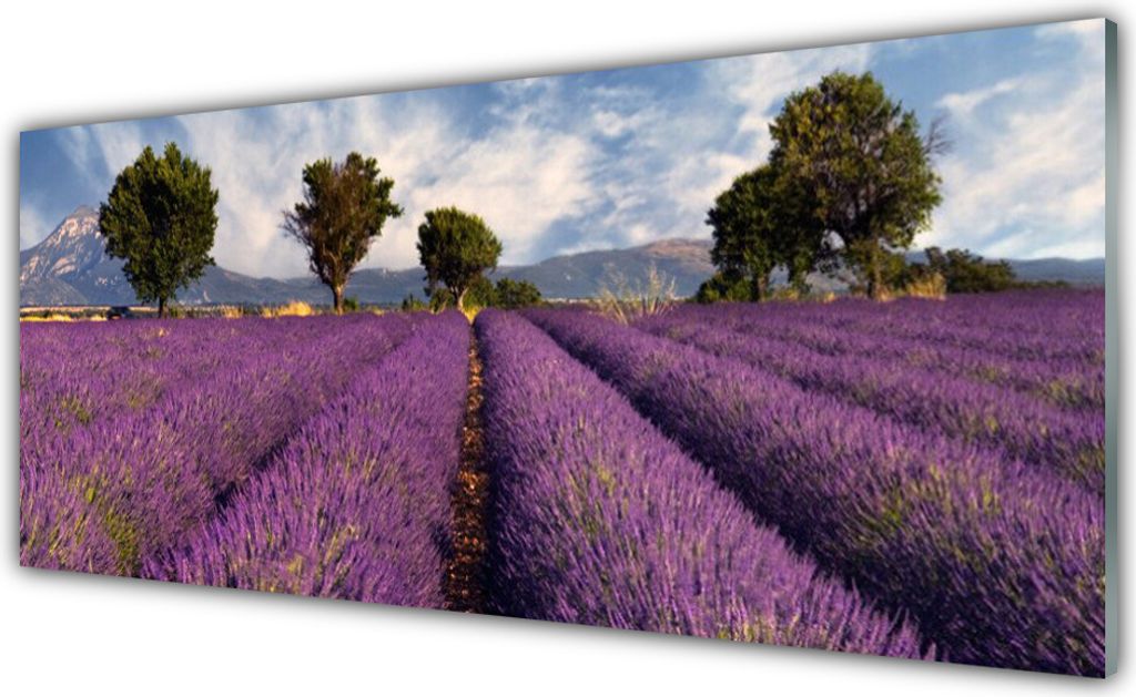 Küchenrückwand aus Glas 125x50cm Spritzschutz Wiese Bäume Natur