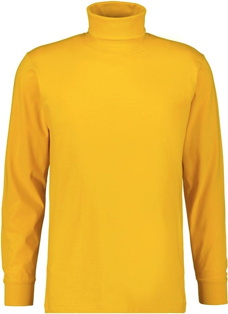 Ragman H-T-Shirt 1/1 Arm Shirt turtle neck