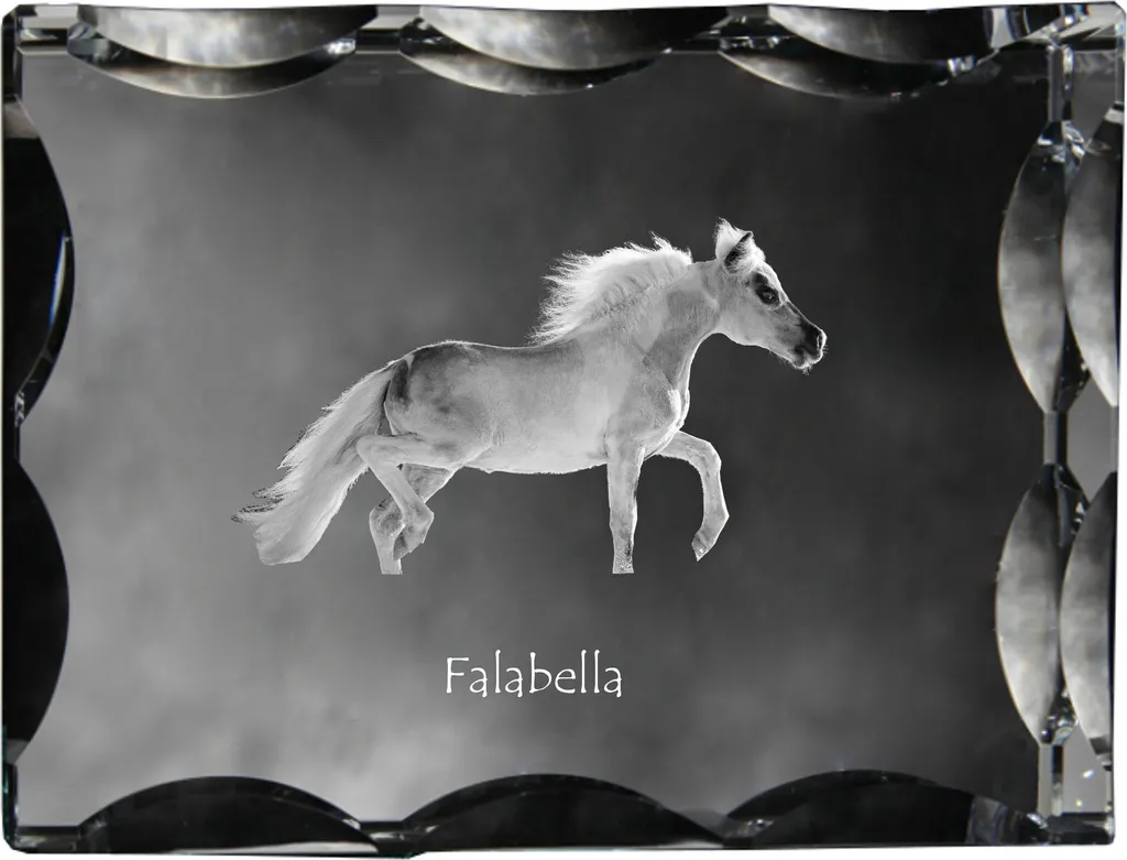 Cristallo con Immagine Cavallo Falabella Art-Dog: Cornice Unica in Vetro